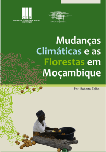 2 PotenCiaL FLorestaL de MoçaMbique