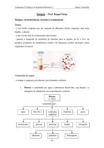 Sangue – Prof. Raquel Seiça