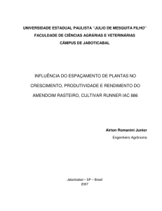 influência do espaçamento de plantas no