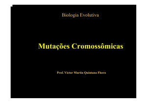 Mutações Cromossômicas