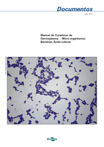 Bactérias Ácido-Láticas