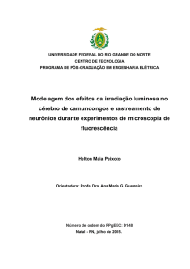 Modelagem dos efeitos da irradia&ccedil;&atilde;o luminosa no c&eacute;rebro