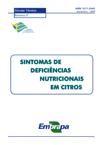 sintomas de deficiências nutricionais em citros