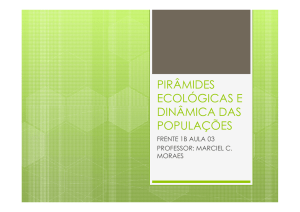 pirâmides ecológicas e dinâmica das populações 1b aula 0 3