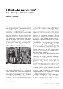 O Desafio das Neuroci&ecirc;ncias - Universidade Cat&oacute;lica Portuguesa