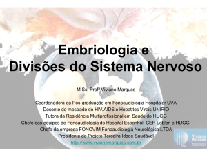 Embriologia do Sistema Nervoso