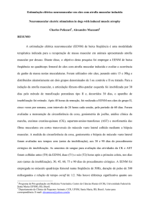 Neuromuscular electric stimulation in dogs with