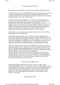 A Estrutura da molécula de DNA Identificação dos ácidos nucléicos