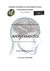 apontamentos - Resumos.net