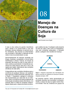 Manejo de Doenças na Cultura da Soja