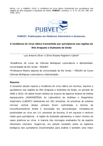 A incidência do vírus rábico transmitido por quirópteros nas