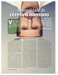 A genialidade do c&eacute;rebro humano Fonte