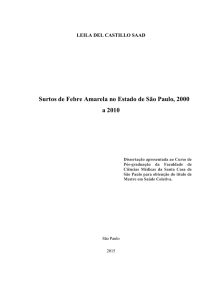 Surtos de Febre Amarela no Estado de São Paulo, 2000 a 2010