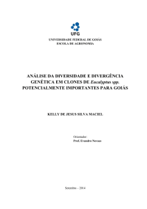 ANÁLISE DA DIVERSIDADE E DIVERGÊNCIA GENÉTICA EM