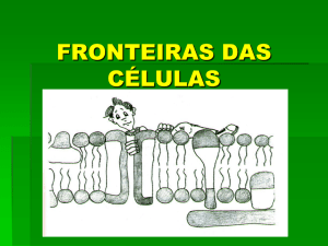 FRONTEIRAS DAS CÉLULAS