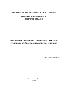 Dissertacao completa MarceloReischaves