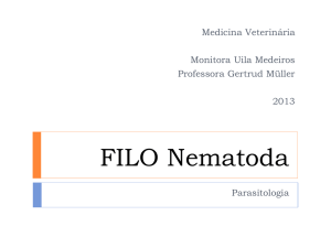 FILO Nematoda - Google Groups