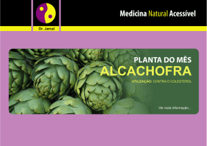 ALCACHOFRA FICHA.cdr