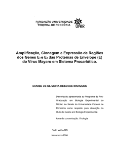Amplificaçao Clonagem e Expressao de Regioes - pgbioexp