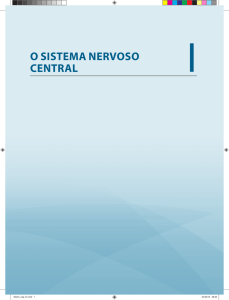 o sistema nervoso central