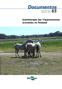 Quimioterapia das Tripanosomoses ocorrentes no Pantanal