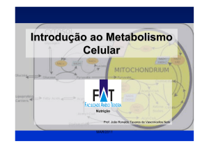 Introdução ao Metabolismo Celular