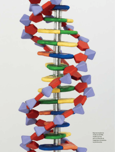 Representação da molécula de DNA