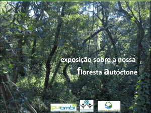 exposição sobre a nossa floresta autóctone