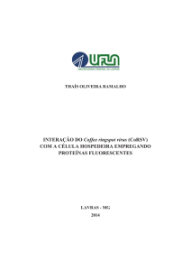 INTERAÇÃO DO Coffee ringspot virus (CoRSV) COM - PRPG