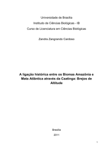 A ligação histórica entre os Biomas Amazônia e Mata - BDM