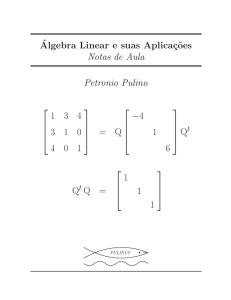 ´Algebra Linear e suas Aplicaç˜oes Notas de Aula Petronio Pulino 1