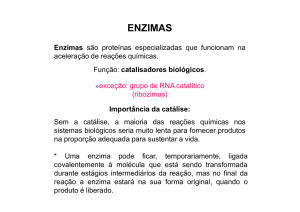 enzimas