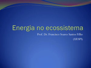 Energia no ecossistema