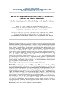 Avaliação de um sistema de raízes divididas de tomateiro cultivado