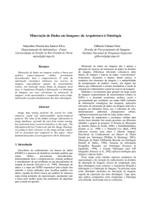 Mineração de Dados em Imagens: da Arquitetura à - mtc