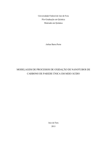 modelagem de processos de oxidação de nanotubos de carbono de