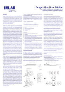 Dengue Duo Teste Rápido