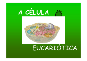 a célula eucariótica