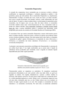 Nematoides fitoparasitas - Sociedade Brasileira de Nematologia