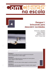 Dengue I: brincando para descobrir novidades