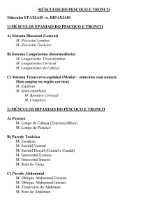 MÚSCULOS DO PESCOÇO E TRONCO