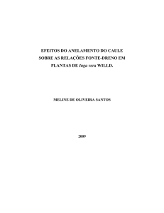 EFEITOS DO ANELAMENTO DO CAULE SOBRE AS RELAÇÕES