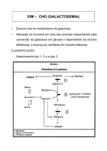 AULA - Galactosemia pdf