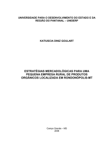 estratégias mercadológicas para uma pequena empresa rural de