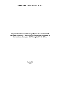 Patogenicidade à cebola (Allium cepa L) e análise da