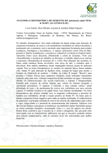ANATOMIA E HISTOQUÍMICA DE SEMENTES DE Aphelandra