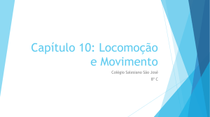 8º ano - Revisão cap. 10