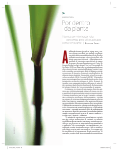 Por dentro da planta - Revista Pesquisa Fapesp