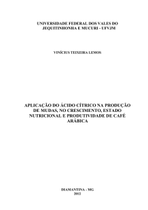 Aplicação de ácido cítrico na produção de mudas, no crescimento