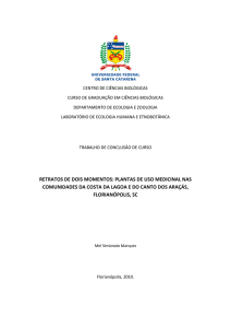 retratos de dois momentos: plantas de uso medicinal nas